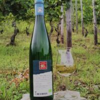Riesling trocken 2015 Klosterberg Spätlese