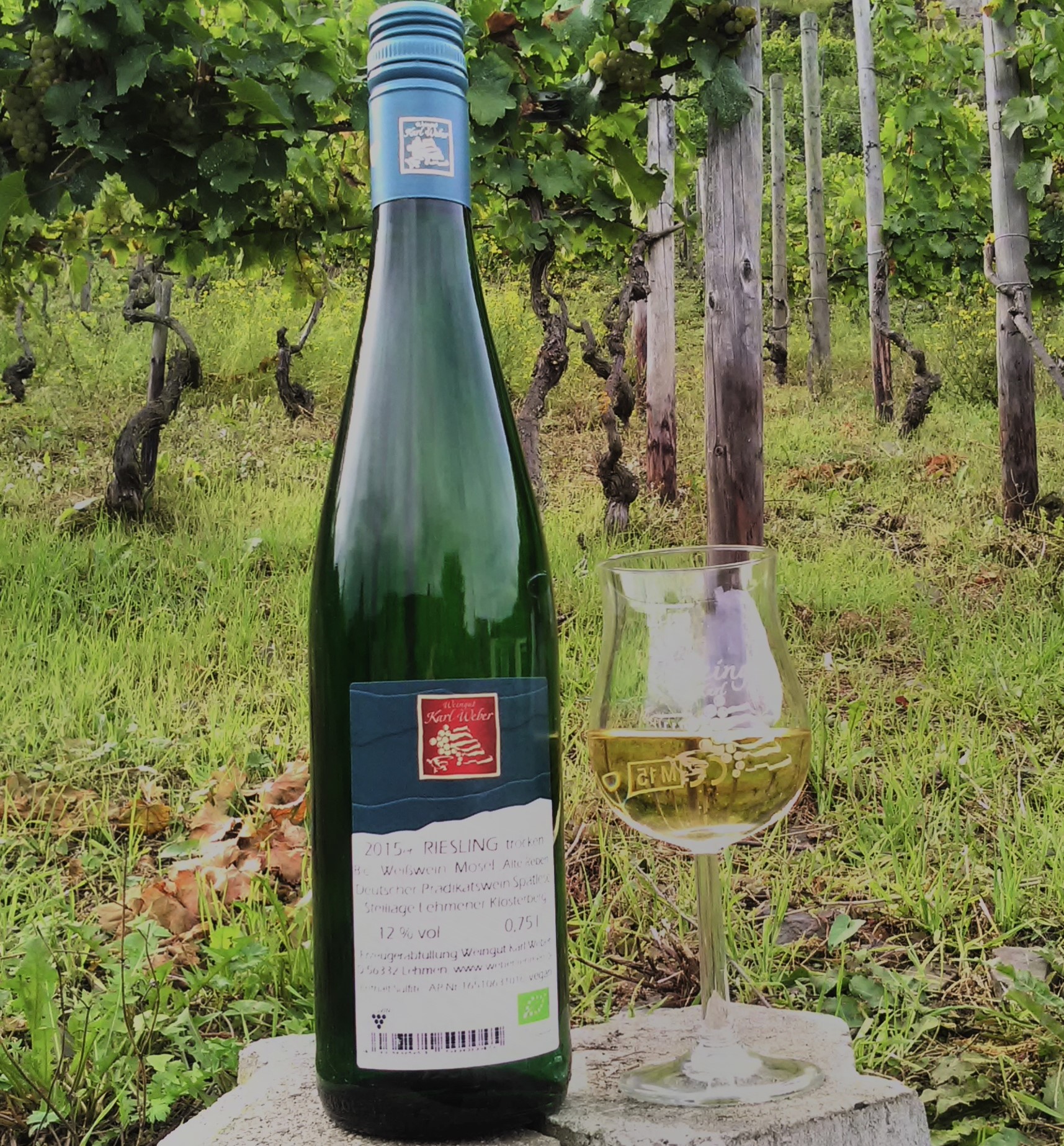 Riesling trocken 2015 Klosterberg Spätlese