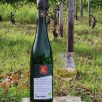 Riesling trocken 2015 Würzlay Auslese