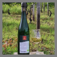 Riesling trocken 2016 Würzlay Qualitätswein