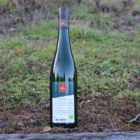 Riesling trocken 2017 Würzlay Qualitätswein