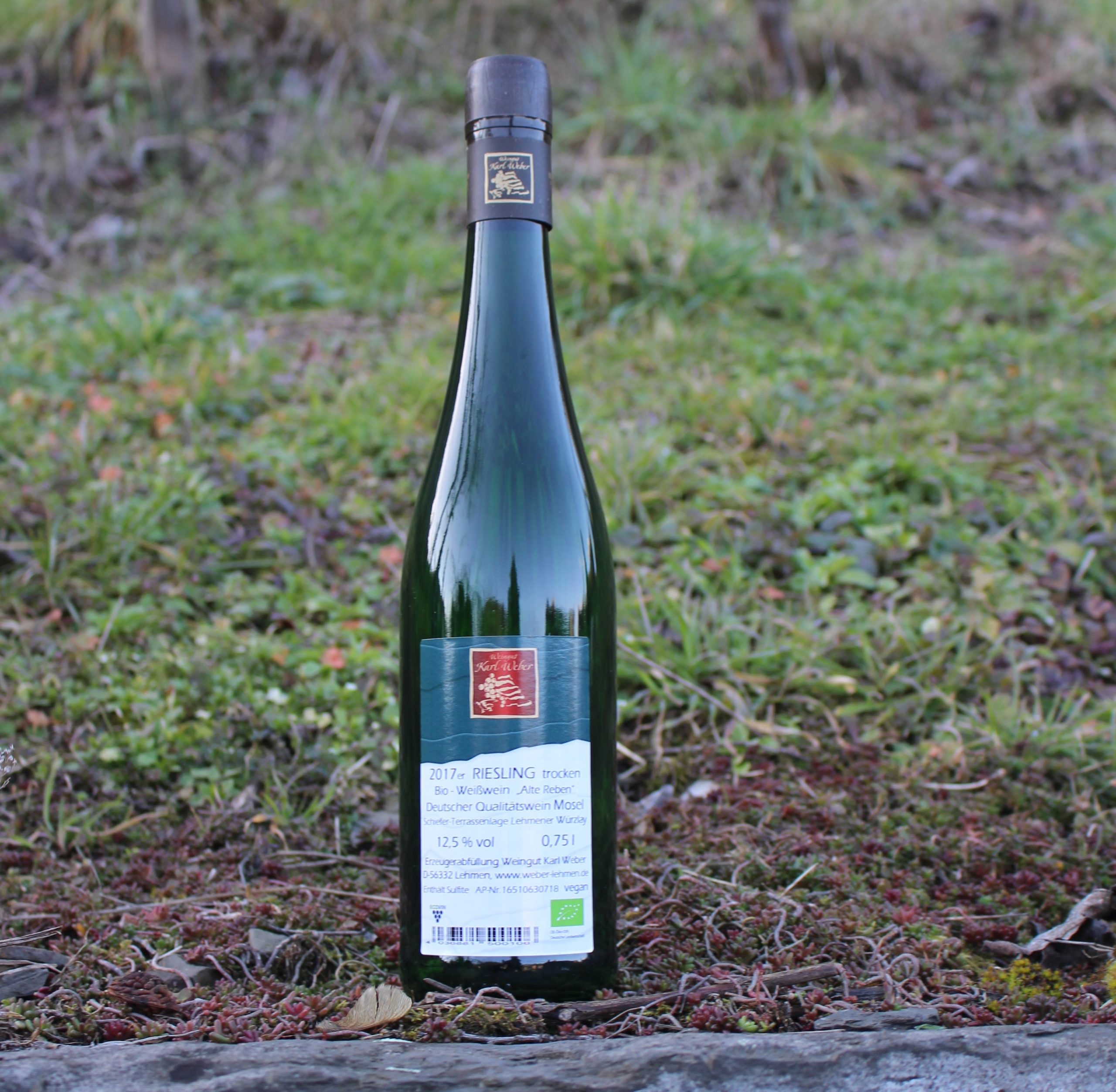 Riesling trocken 2017 Würzlay Qualitätswein