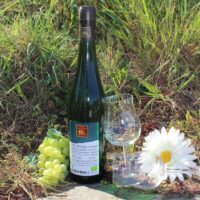 Riesling halbtrocken 2018 Würzlay Auslese