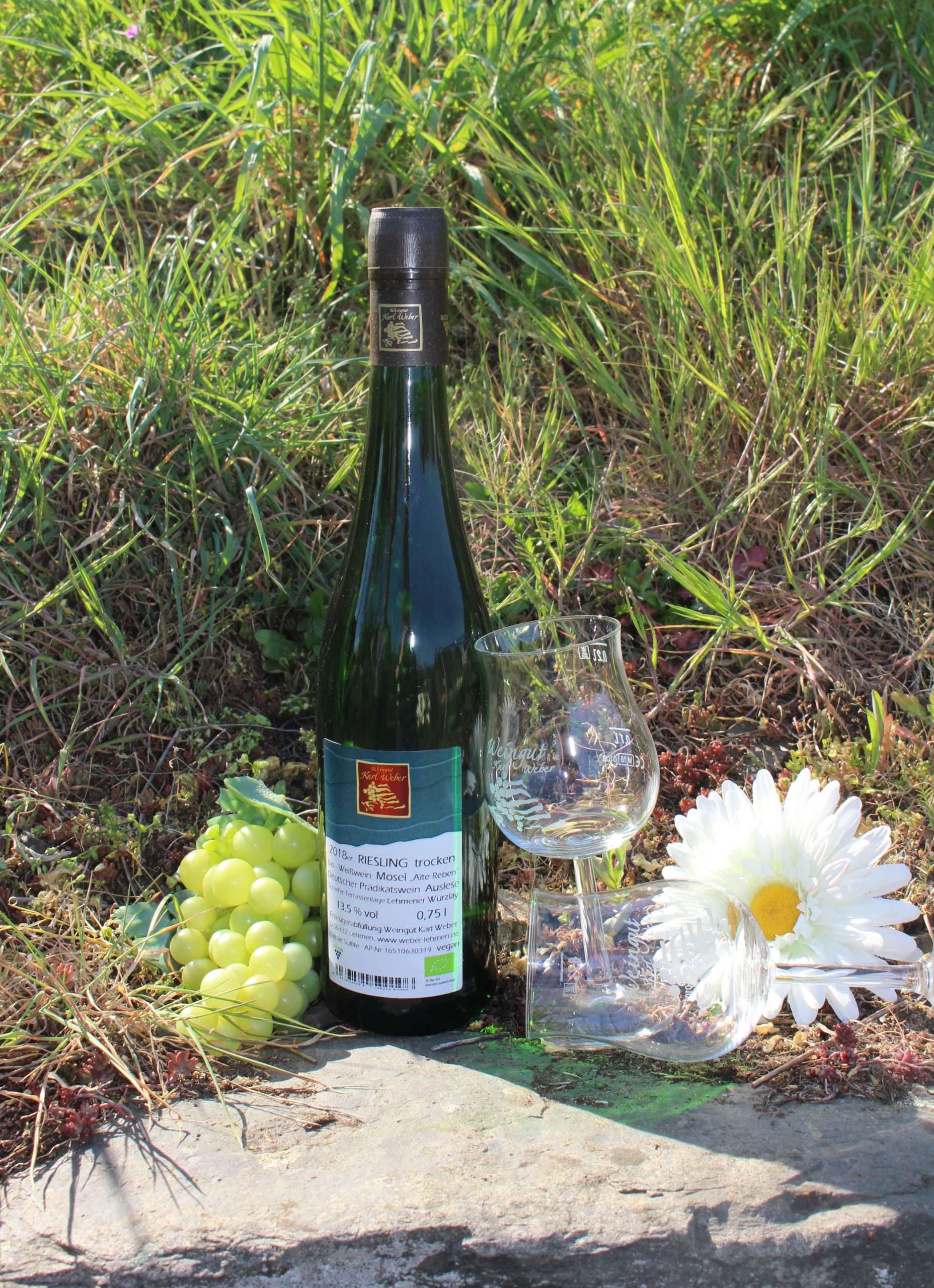 Riesling halbtrocken 2018 Würzlay Auslese