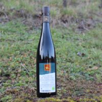 Regent Rotwein trocken 2018 Landwein
