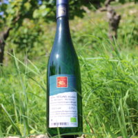 Riesling trocken 2019 Würzlay Qualitätswein