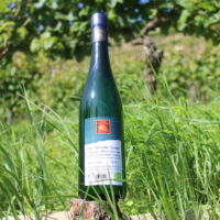 Riesling trocken 2020 Würzlay Spätlese