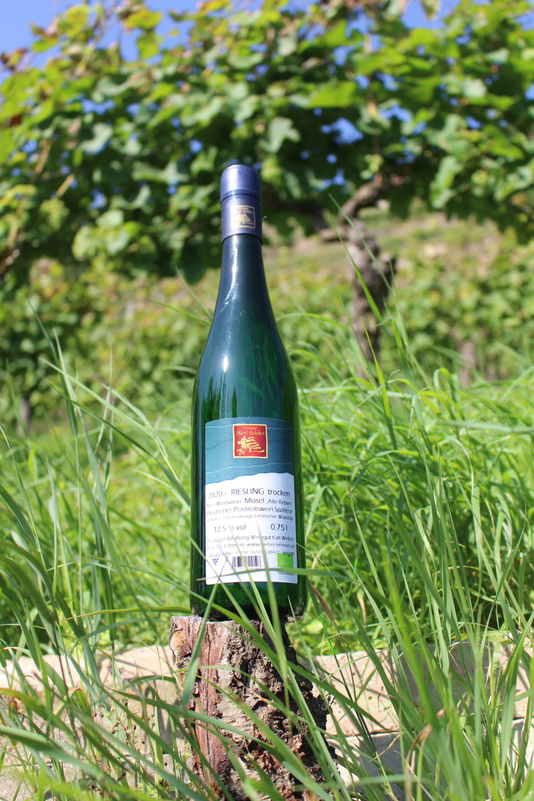 Riesling trocken 2023 Würzlay Qualitätswein