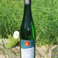 Riesling trocken 2020 Lehmensfreude Spätlese
