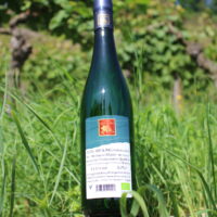 Riesling halbtrocken 2020 Würzlay Spätlese