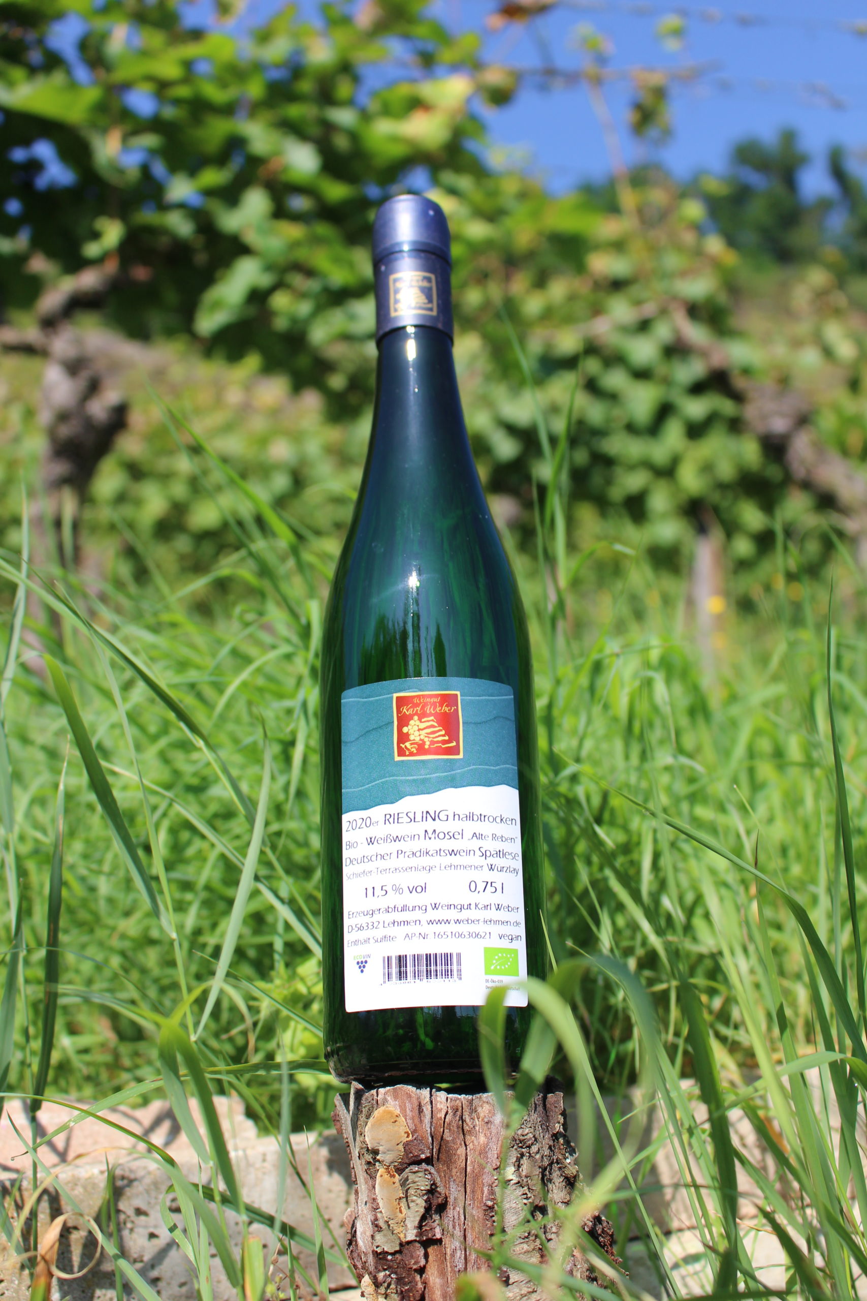 Riesling halbtrocken 2020 Würzlay Spätlese