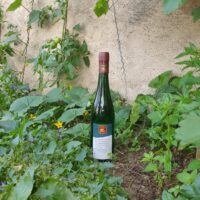 Helios halbtrocken 2022 Qualitätswein