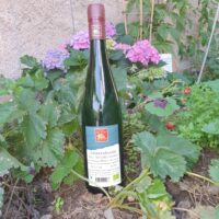 Riesling trocken 2022 Lehmensfreude Spätlese